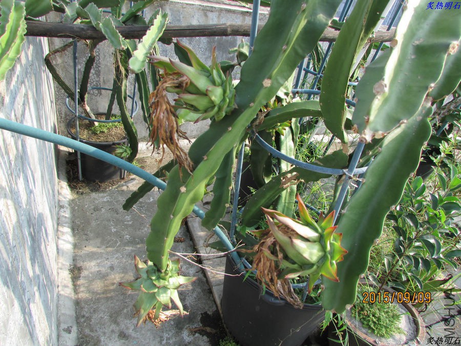 IMG_9788_nEO_IMG.jpg
