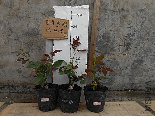 QQͼƬ20151009142152.jpg