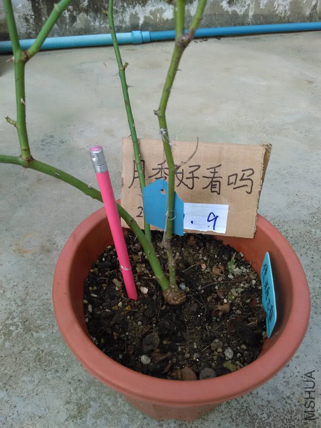 ���ǹŶ�_638x850.jpg
