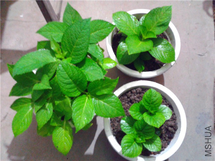 2015-10-09 19.41.58.jpg