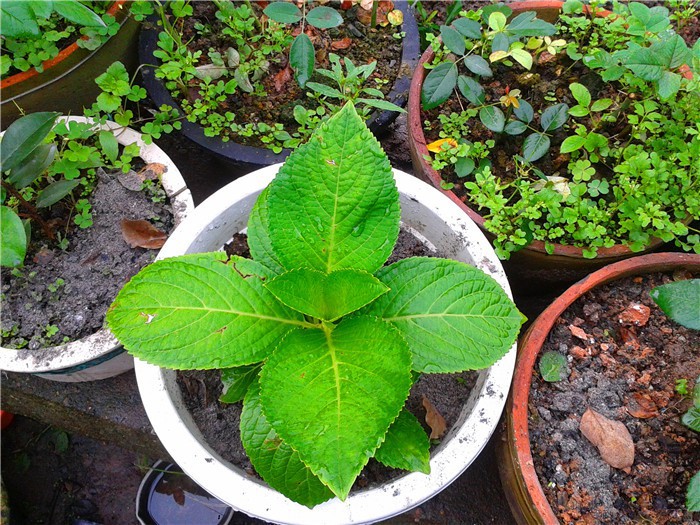 2015-10-10 07.20.19.jpg