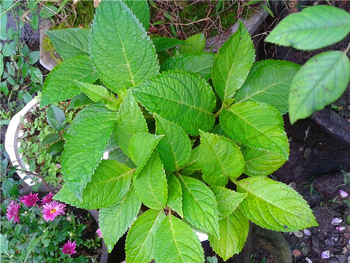 2015-10-10 07.20.27.jpg