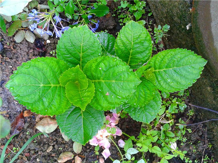 ���Ծ���û���Ȱ�