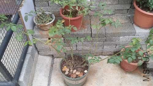 20151005_134504.jpg