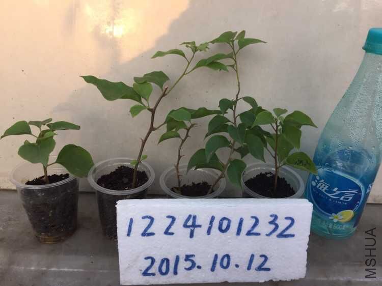 3���س� ��ȸ ��ȸ ����  4��55Ԫ.jpg