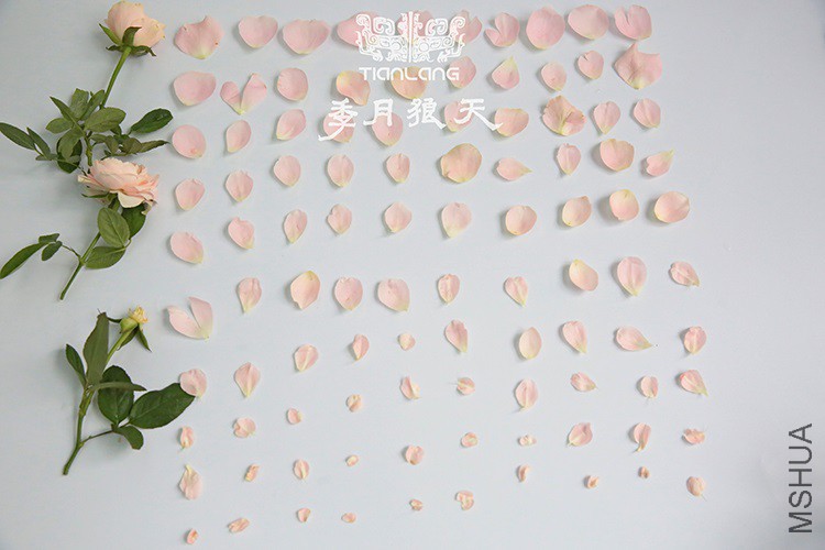 ���Ļ���