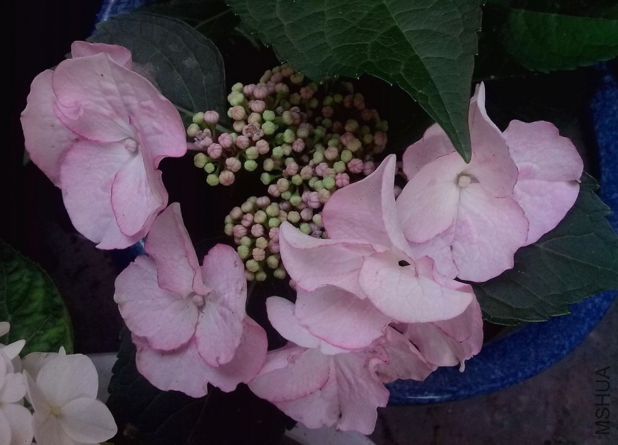 ��Ƭ_20150521_104906.jpg