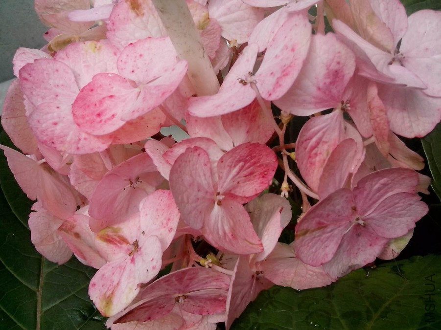 ��Ƭ_20150526_131918.jpg