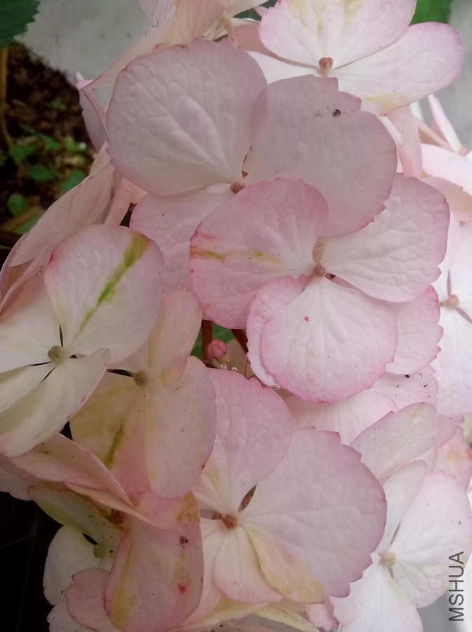 ��Ƭ_20150516_100941.jpg
