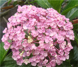 N49YL@Q3]NG12ZGV]}%VB.png