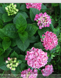 QQͼƬ20150831214256.png