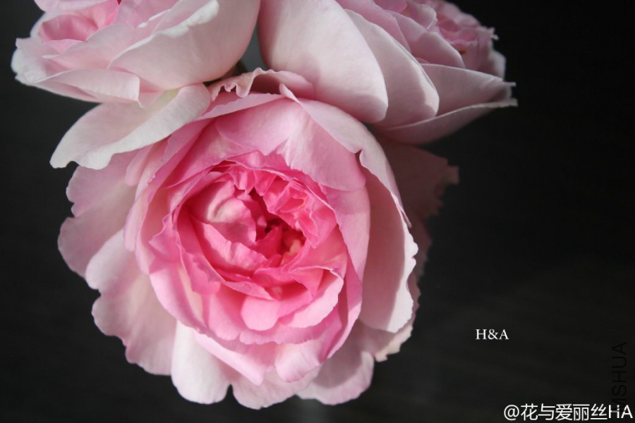 623fe63bgw1ewssjo4b9sj21kw11x79p.jpg