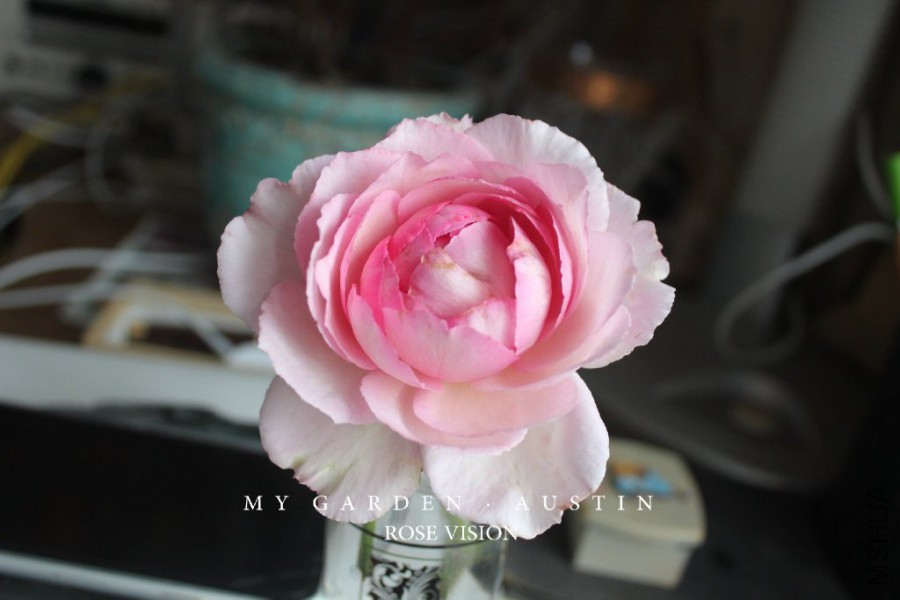 623fe63bgw1ewyn82suuhj21kw11x451.jpg