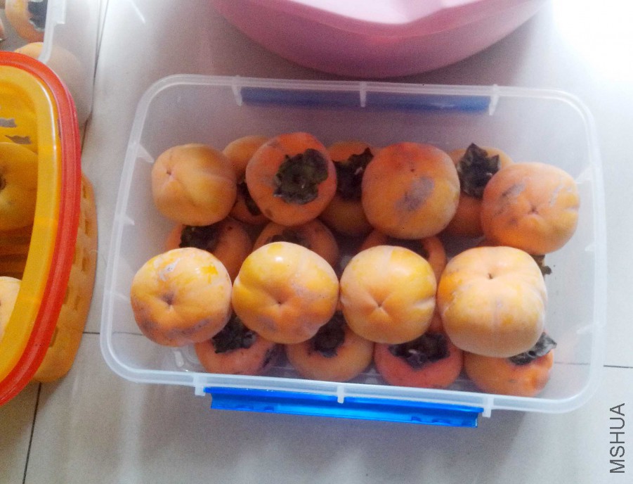 ��Ƭ_20151010_122345.jpg