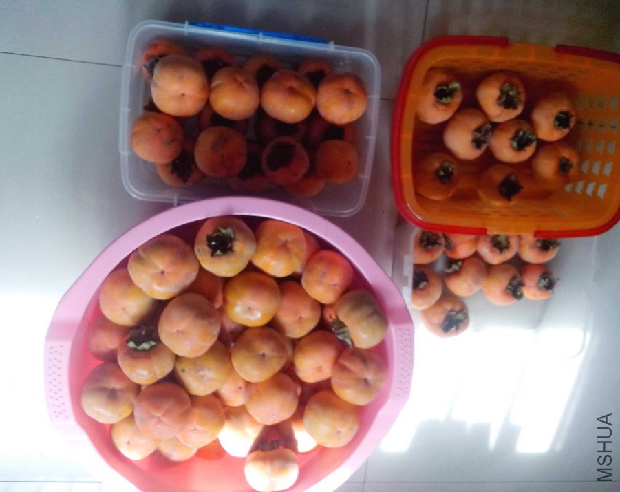 ��Ƭ_20151010_122443.jpg