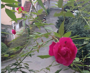 QQͼƬ20151013170331.png