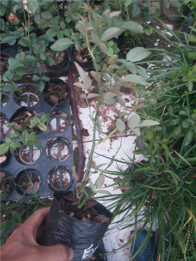 20151013180143_����2.jpg