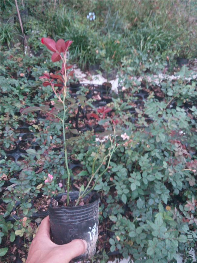 20151013180748_����2.jpg