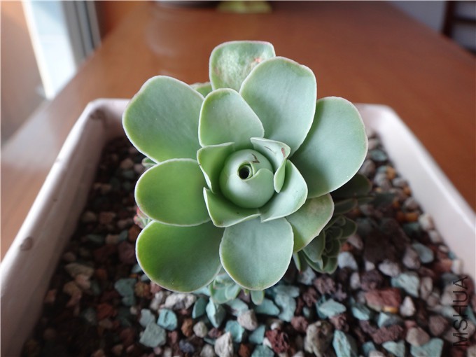 DSC07505_����.jpg