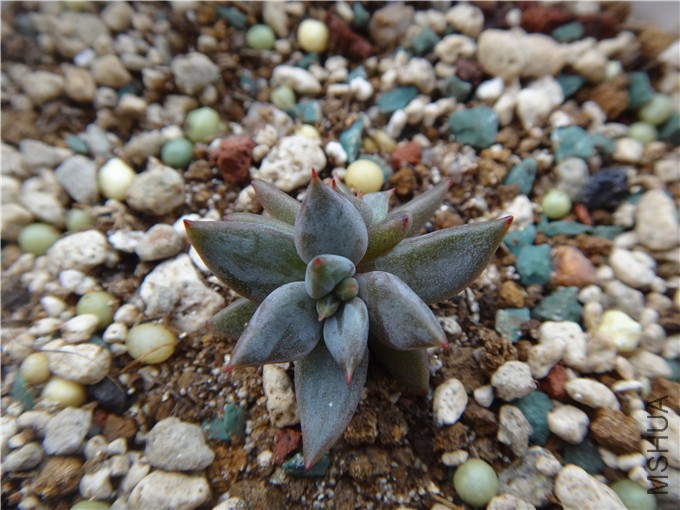 DSC07548_����.jpg