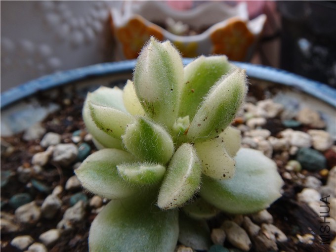 DSC07551_����.jpg