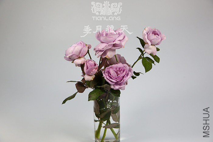 ����ƿ��