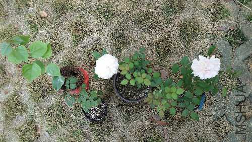 20151014_093236.jpg