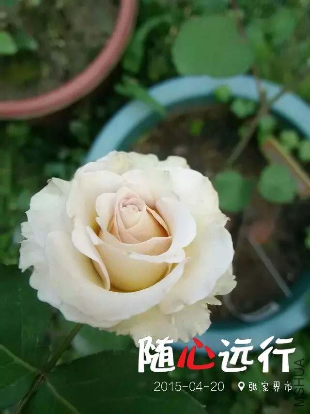 psbCA287JNN.jpg