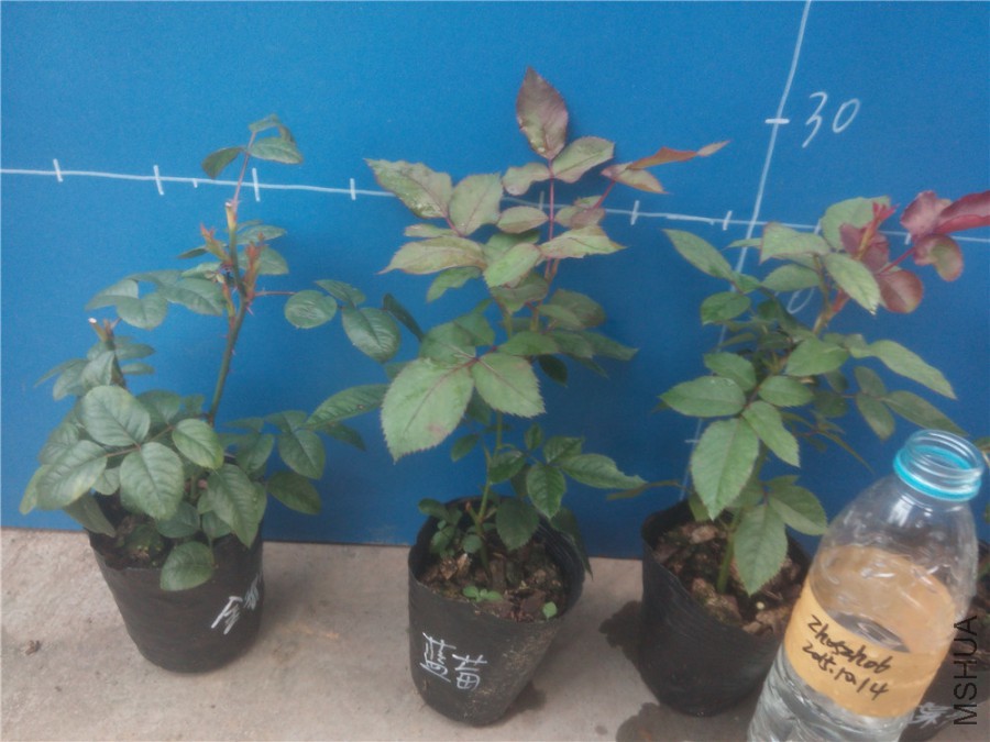 20151014172052_����.jpg