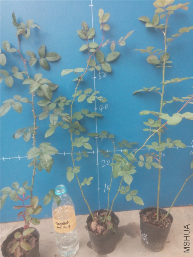 20151014172349_����.jpg