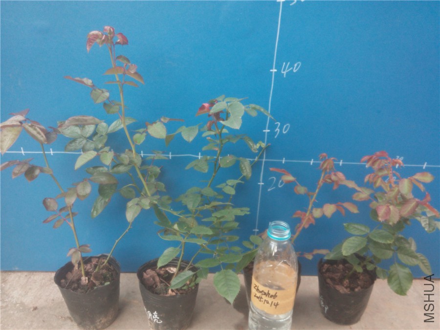 20151014173012_����.jpg