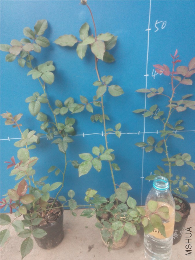 20151014173157_����.jpg