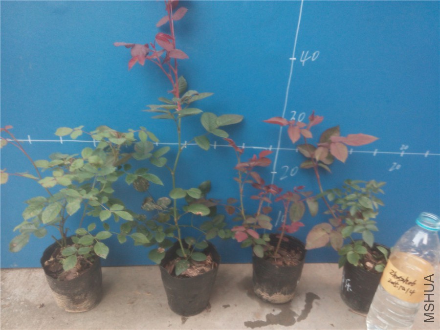 20151014173350_����.jpg
