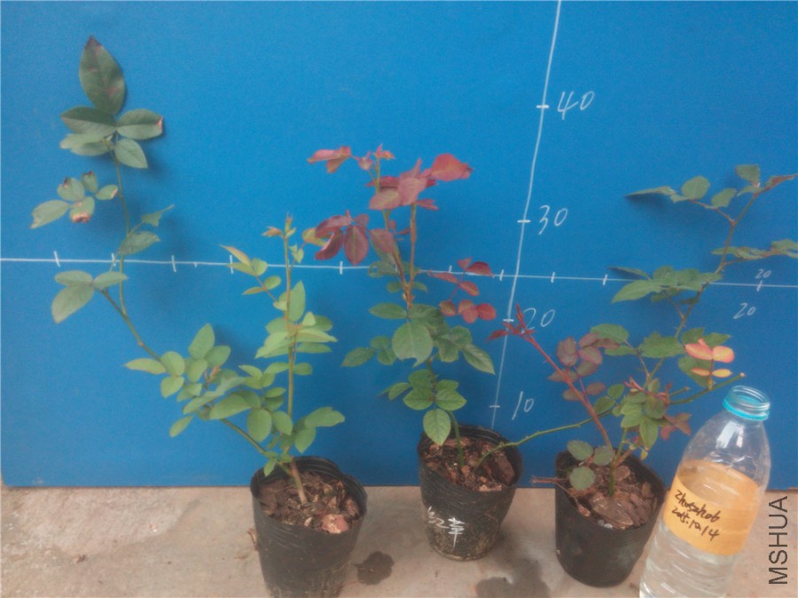 20151014173817_����.jpg