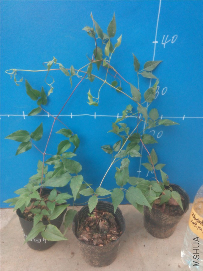 20151014174957_����.jpg