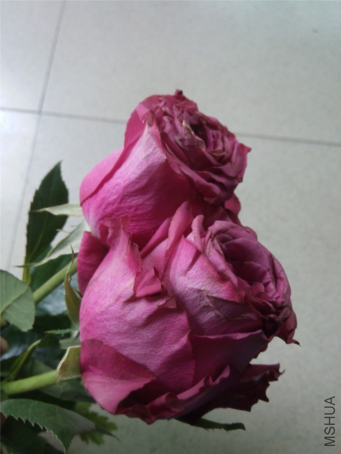 20150502124857_����.jpg