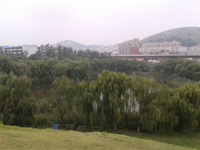 2015-09-05 09.11.53_����.jpg