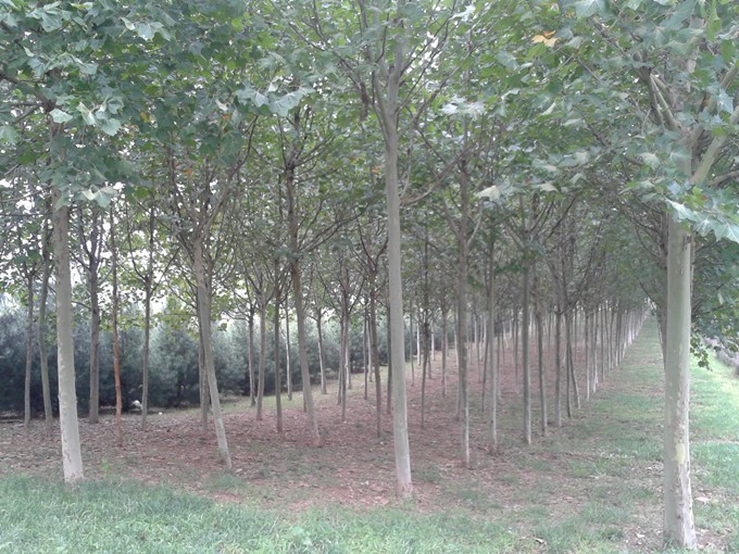 2015-09-05 09.09.42_����.jpg