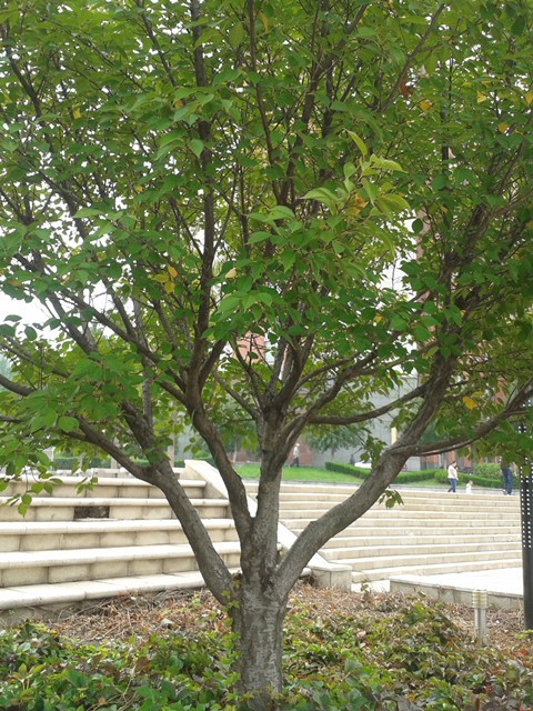 2015-09-05 08.50.28_����.jpg