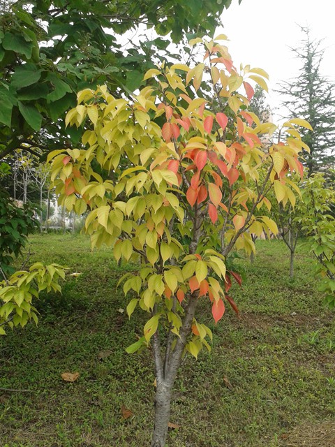 2015-09-05 09.24.06_����.jpg