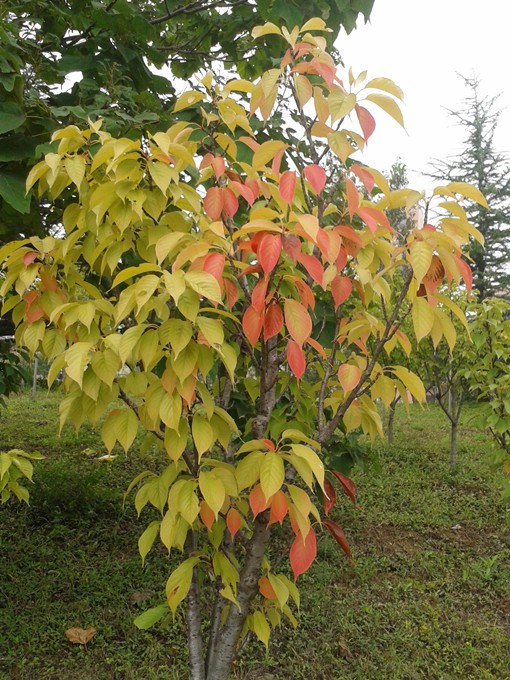 2015-09-05 09.24.14_����.jpg