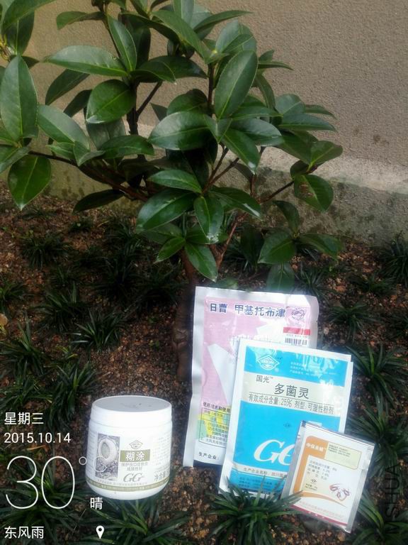 IMG_20151014_170618.jpg