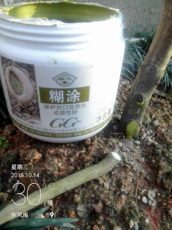 IMG_20151014_162239.jpg