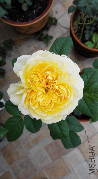 ��� (1)�Ļ�.jpg