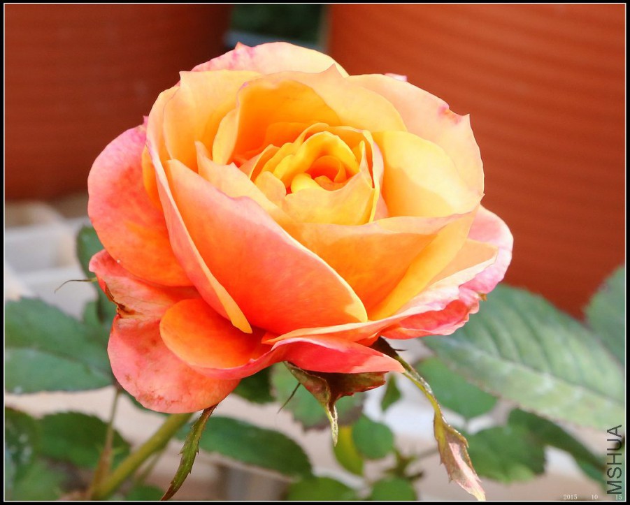 2015101501.jpg