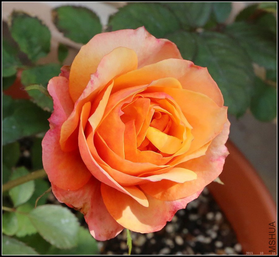 2015101503.jpg