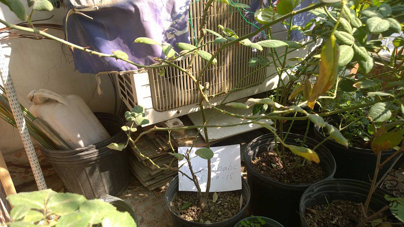 WP_20151015_13_03_33_Pro.jpg