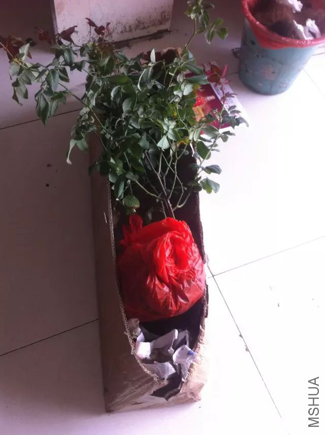psb (7).jpg