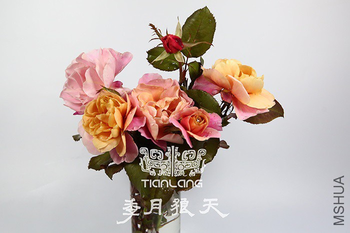 ңԶ�Ĺ���ƿ��