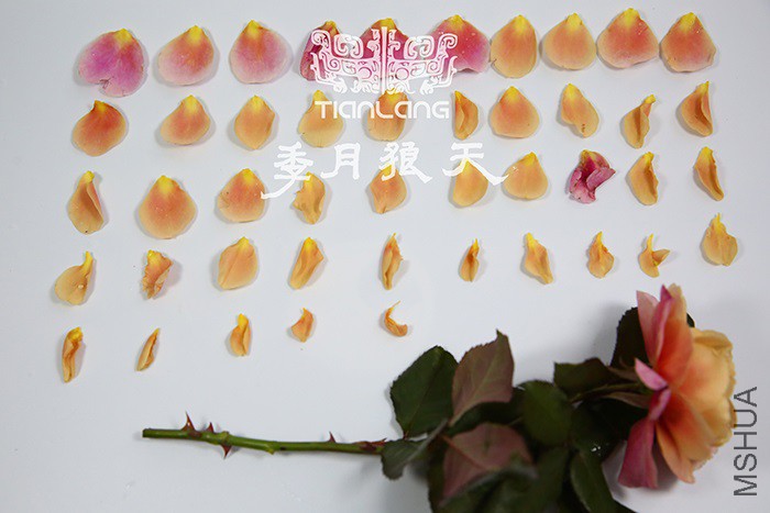 ңԶ�Ĺ�������